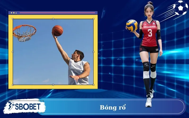 bóng rổ